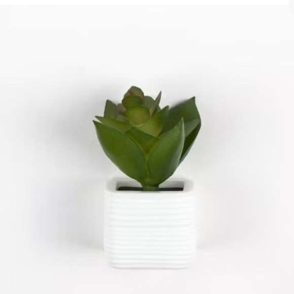 Succulent Plant Magnets 6 Count Potted Faux Plant Locker Fridge Plastic Novelty - Picture 2 of 9